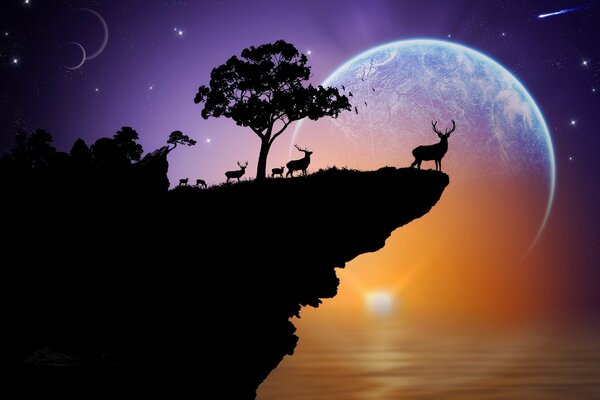 Silhouette of deer on a cliff against the sunset