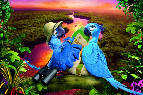 Perroquets du dessin animé Rio 2 au coucher du soleil