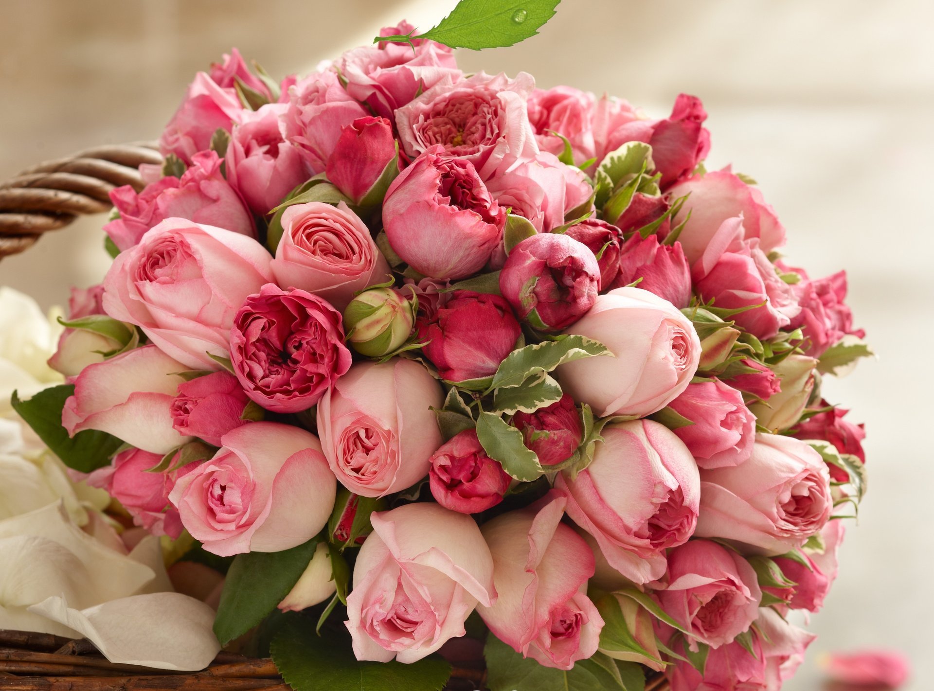 roses buds bouquet beauty petals bouquet roses pink pink