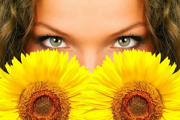 Photo eyes and sunflower view transmission