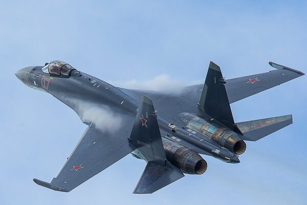 A SU-35 jet plane against the sky