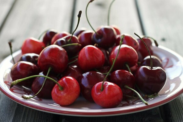 Cerezas grandes , jugosas y maduras