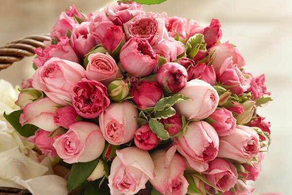 The most delicate buds of pink flowers