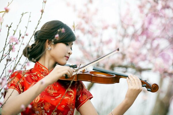 Asiatische Frau, die Geige vor einem sakkura-Hintergrund spielt