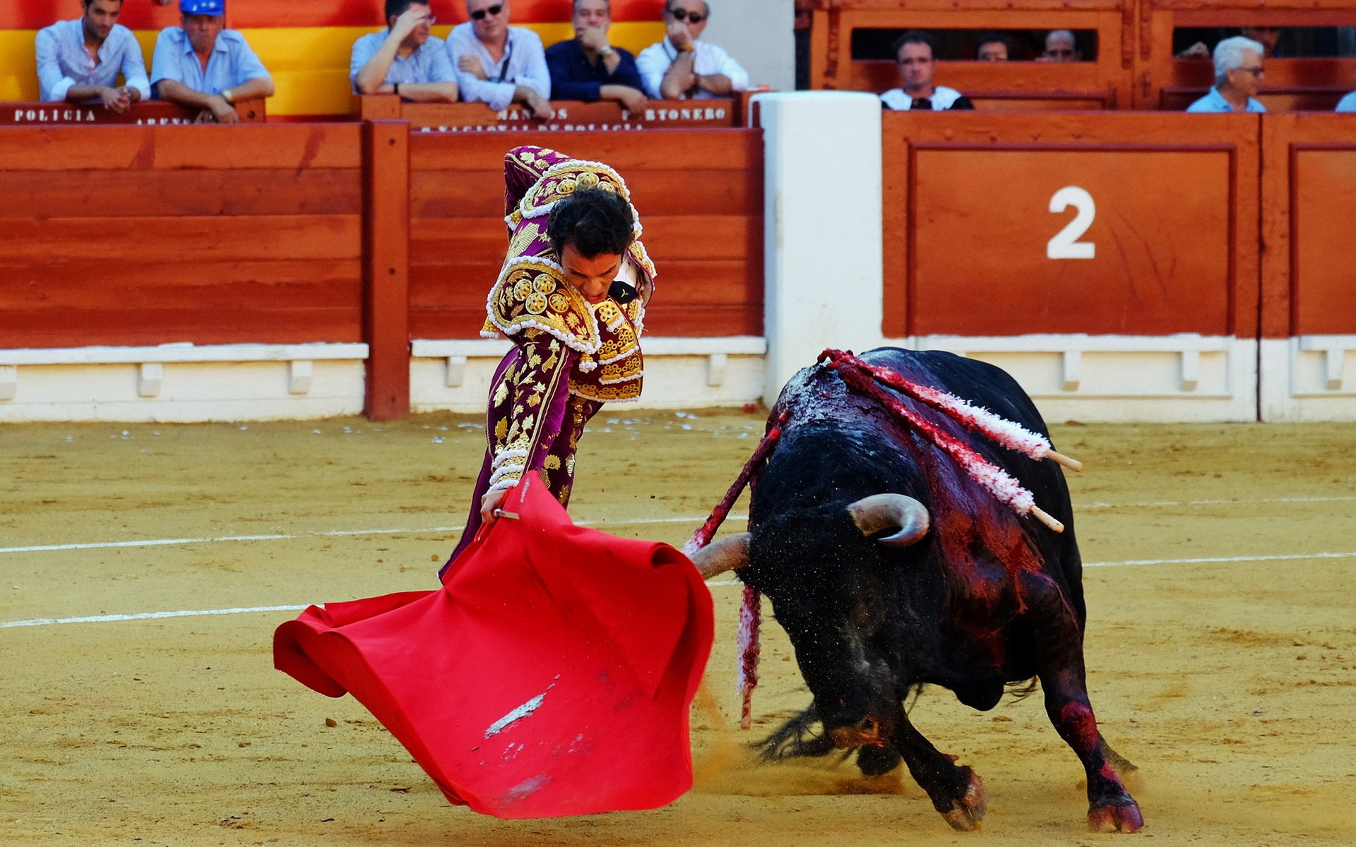 matador bull hiszpania