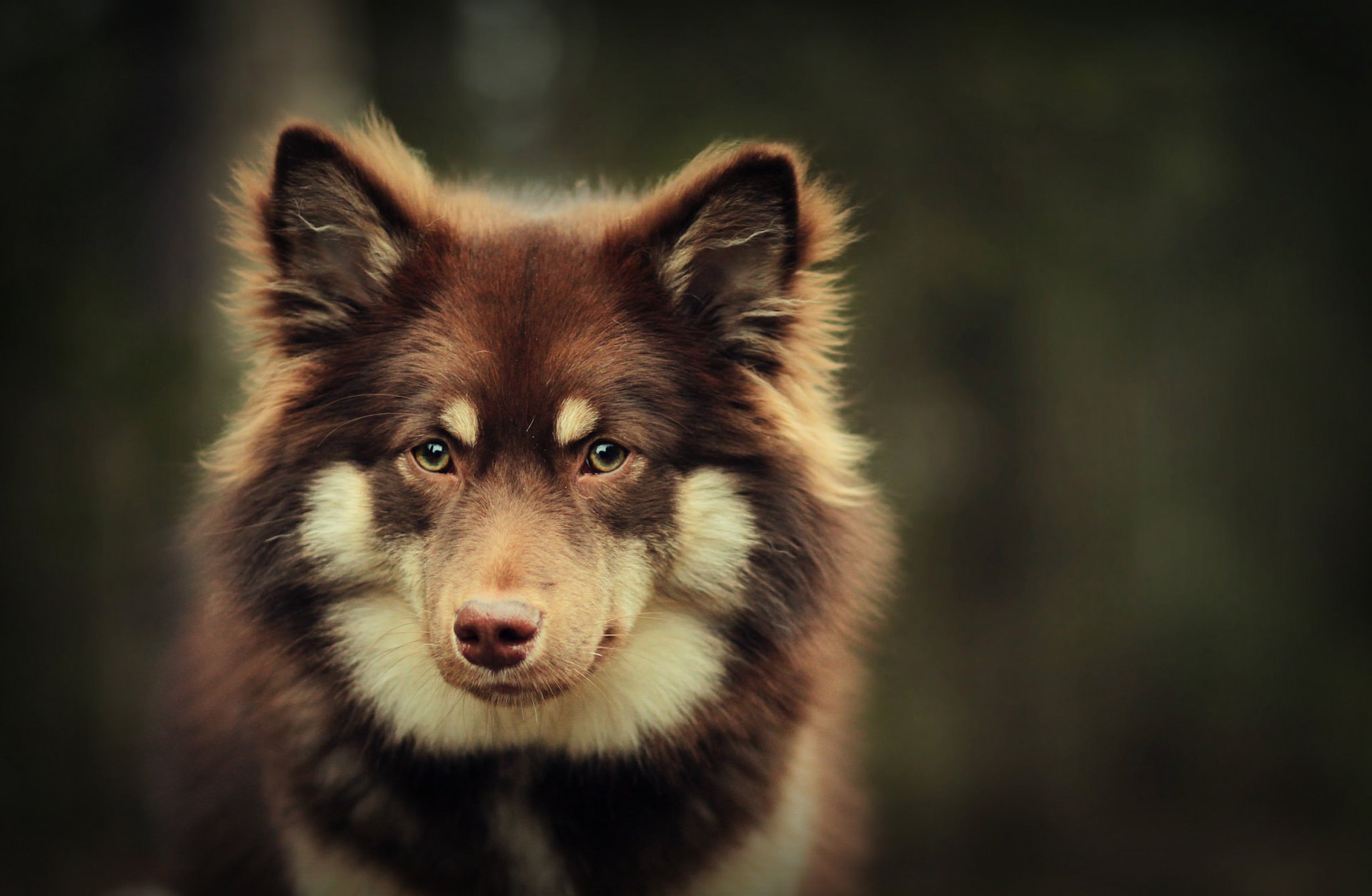 each look bokeh background