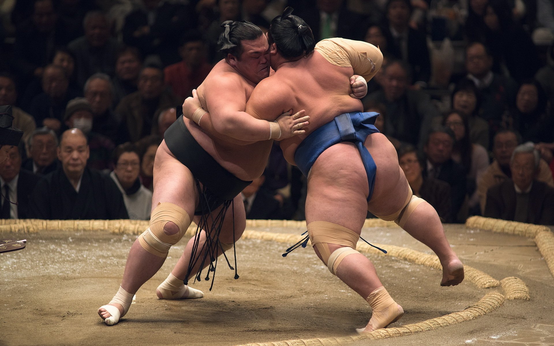 zapasy sumo sport