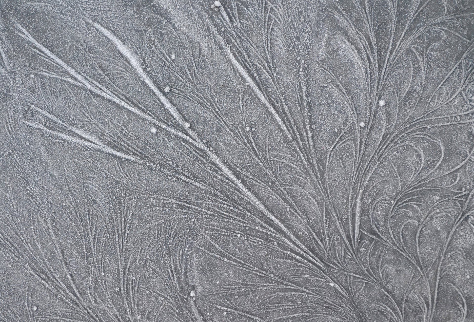 gel motifs givre lignes