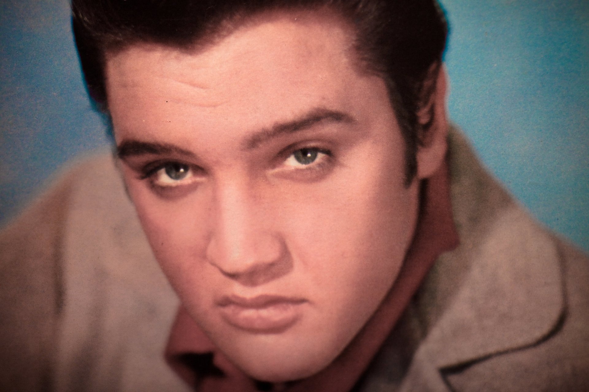 elvis presley elvis presley rock and roll musicista cantante faccia sguardo