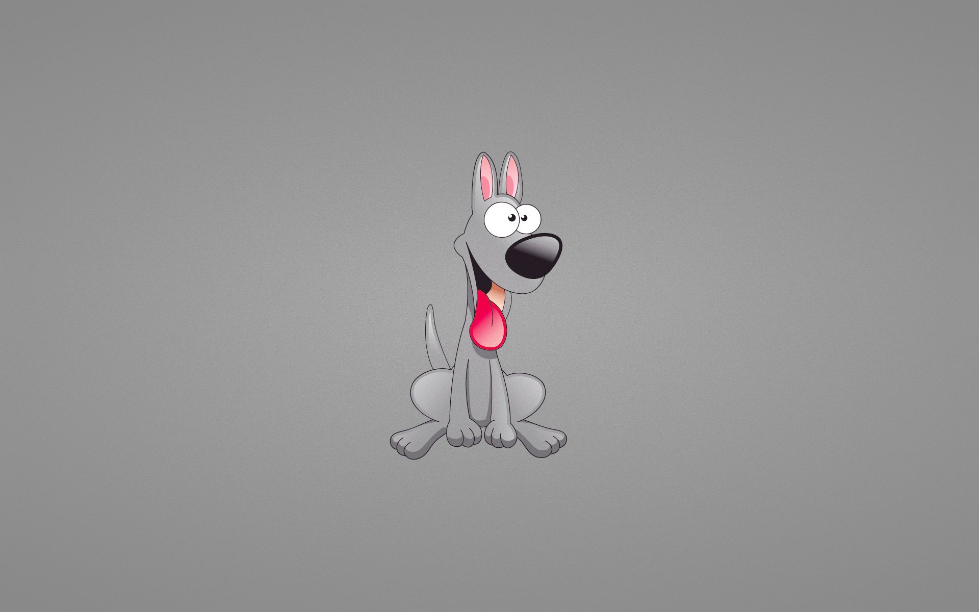 doggie happy minimalism dog gray background tongue dog sitting