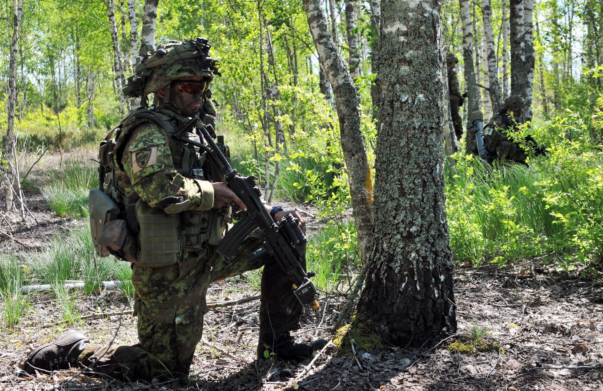 estonian defence forces men weapon