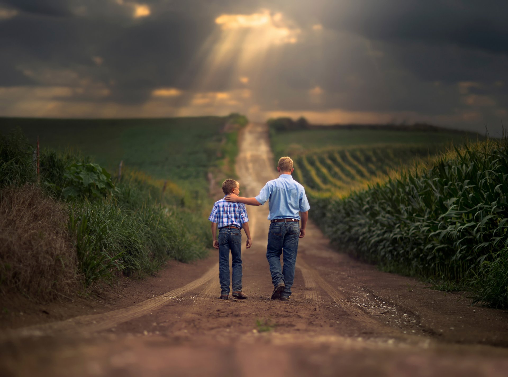 garçons agricoles père fils route champs espace