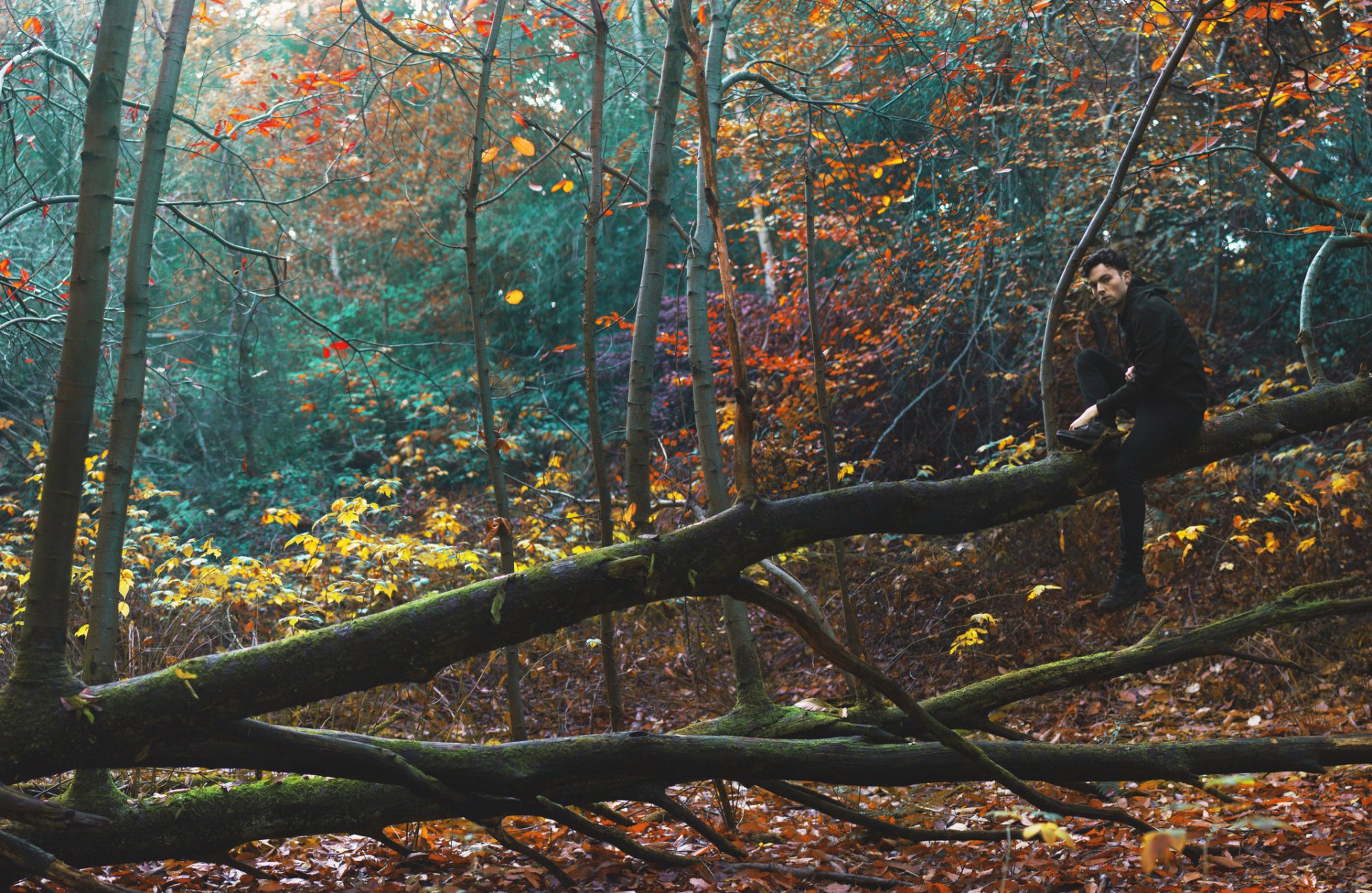 chico bosque árboles otoño