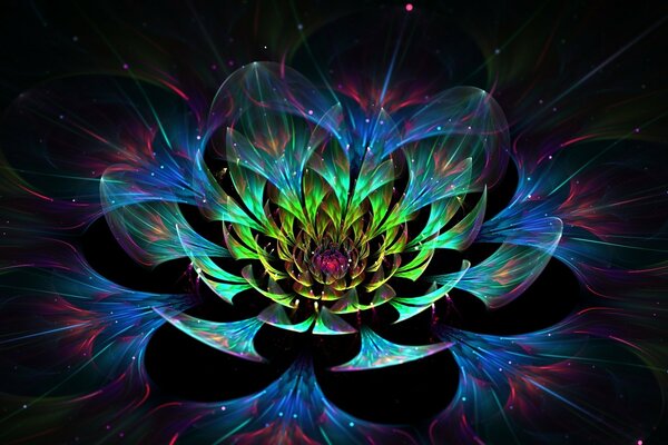 A multi-colored lotus on a black background