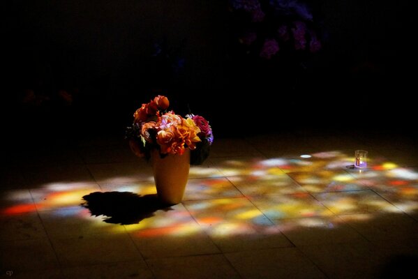 Flowers in general on the tile floor