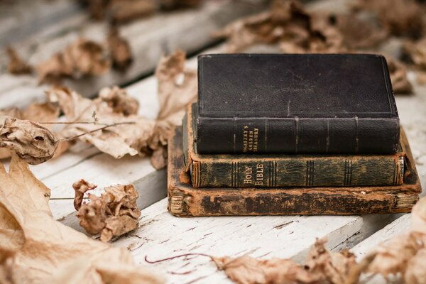 Livre Vintage sur fond de feuilles