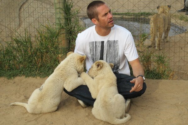 Paul Walker rodeado de tigres blancos