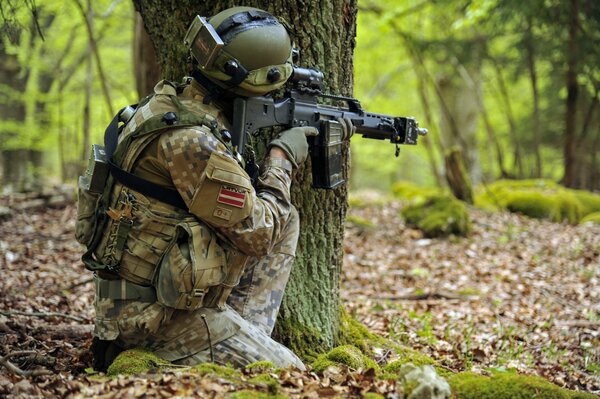 A soldier of the Latvian army with a weapon in his hands hides behind a tree