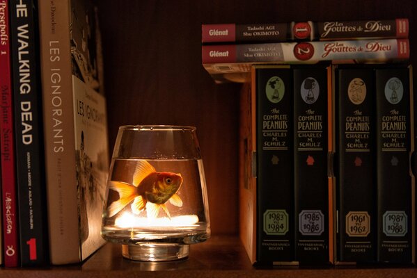 A goldfish in an aquarium among books