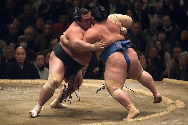 Two sumo wrestlers are engaged in a tense struggle