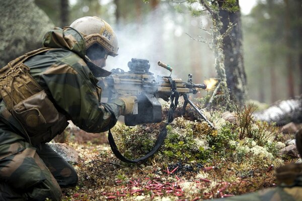 Militärische Übungen in Waldgebieten