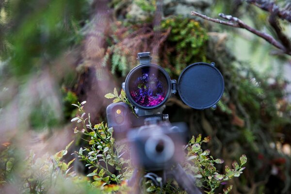 Ambush of a soldier in the forest