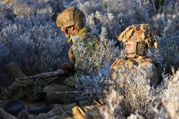 Soldiers in uniform lie among the plants