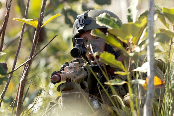 Scharfschütze der australischen Armee im Hinterhalt