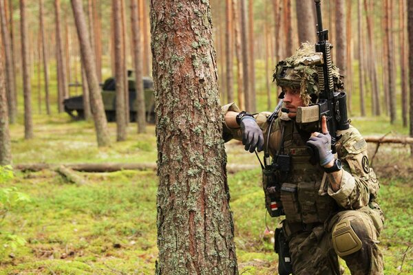 Carro armato e soldato con le armi tra gli alberi ad alto fusto