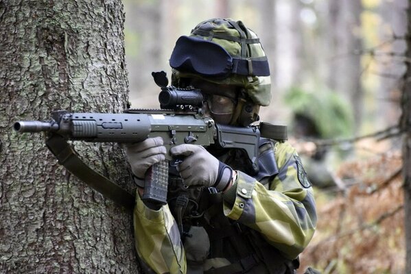 Soldat de l armée suédoise avec des armes près de l arbre