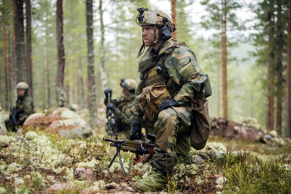 Drei Soldaten inspizieren den Wald in Ausrüstung