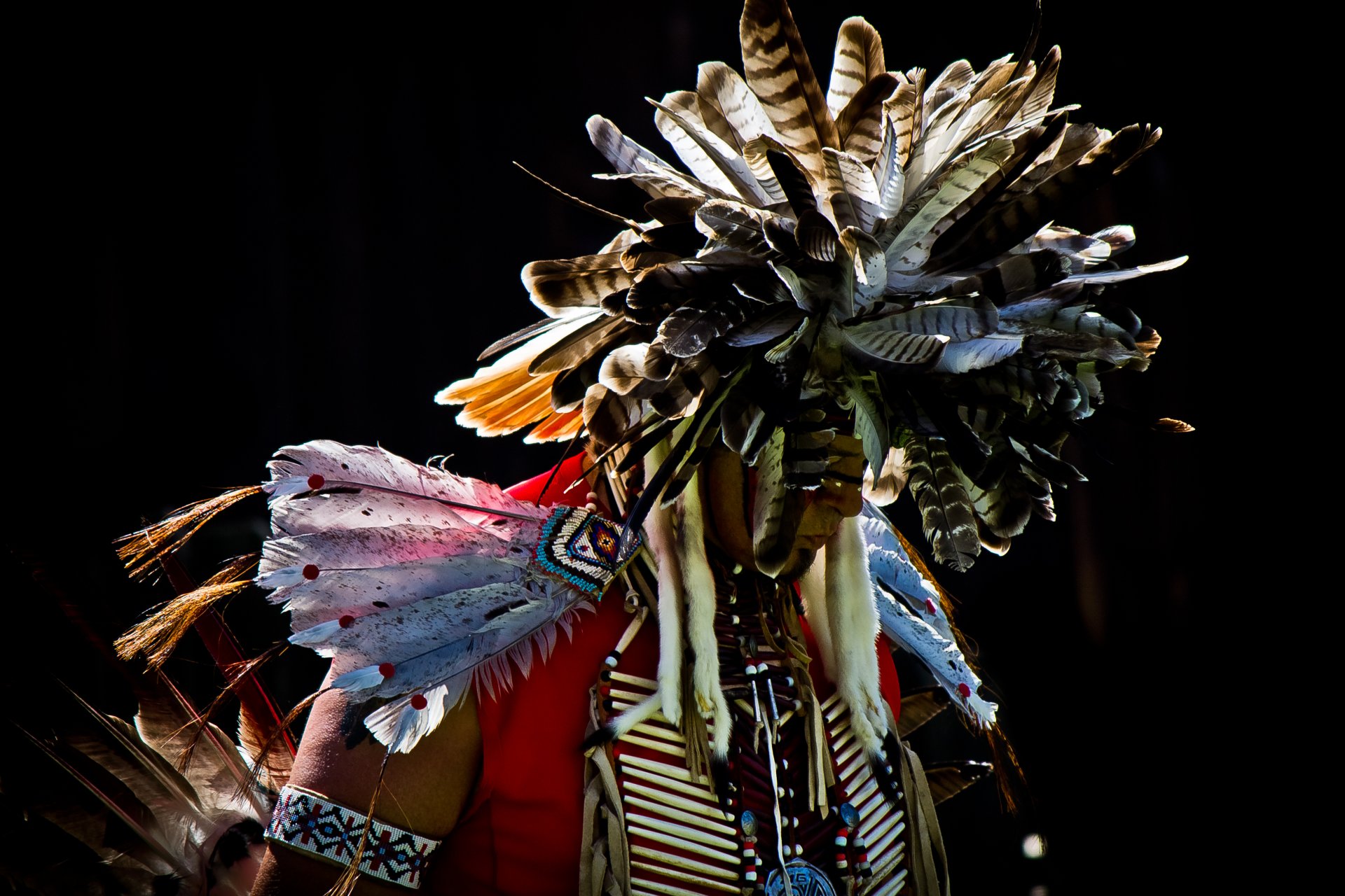 indian men pow wow feather