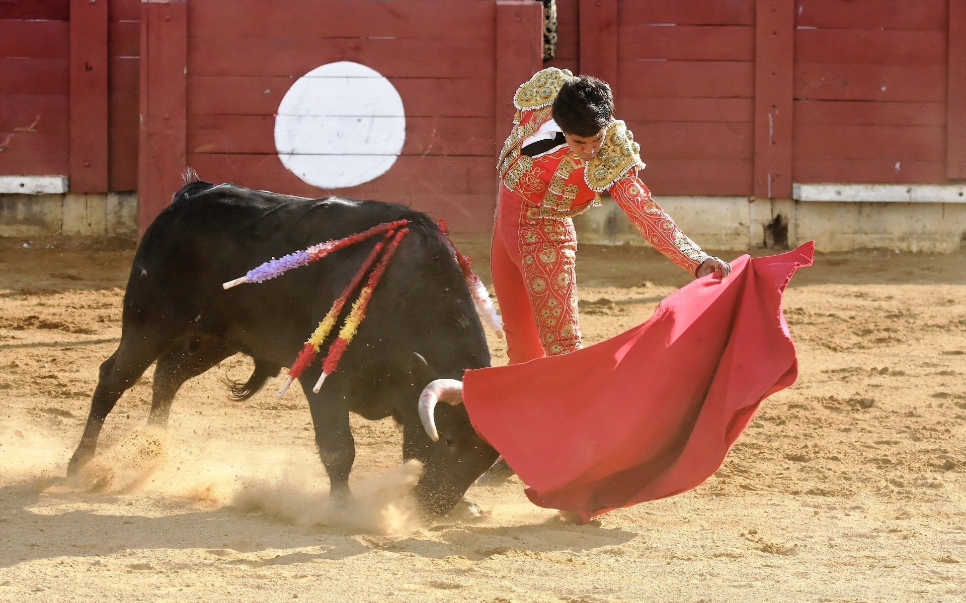 matador stier korida