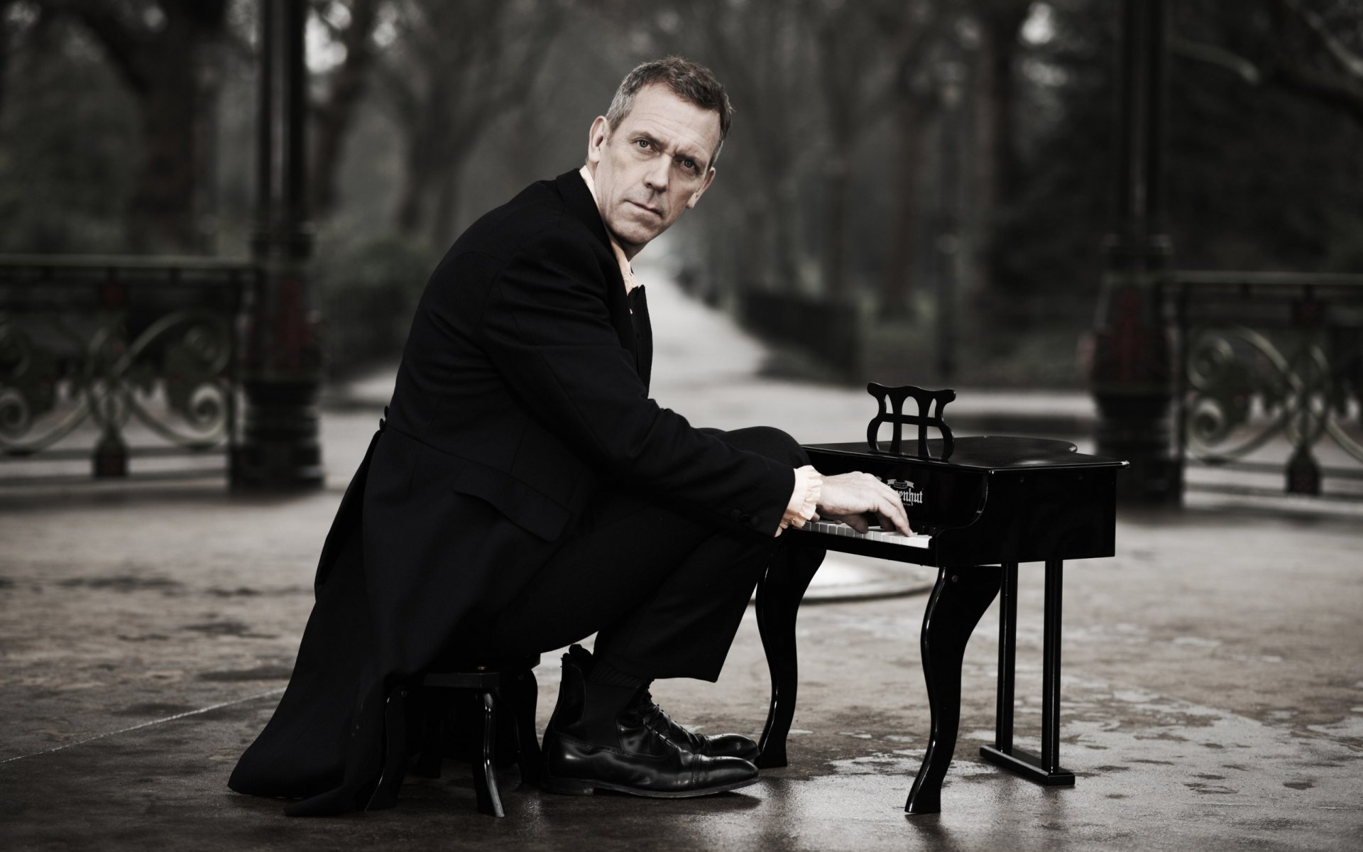 hugh laurie pianoforte a coda frac vicolo