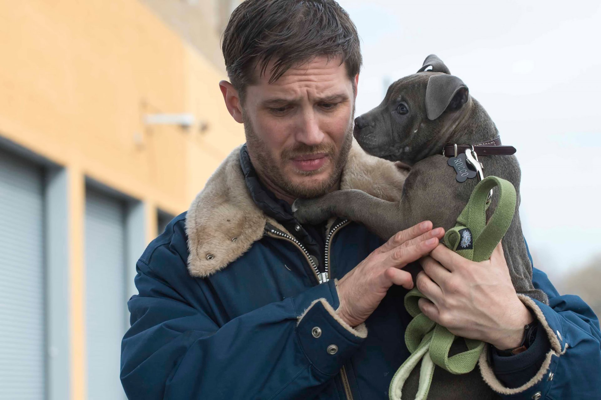 goccia comune tom hardy