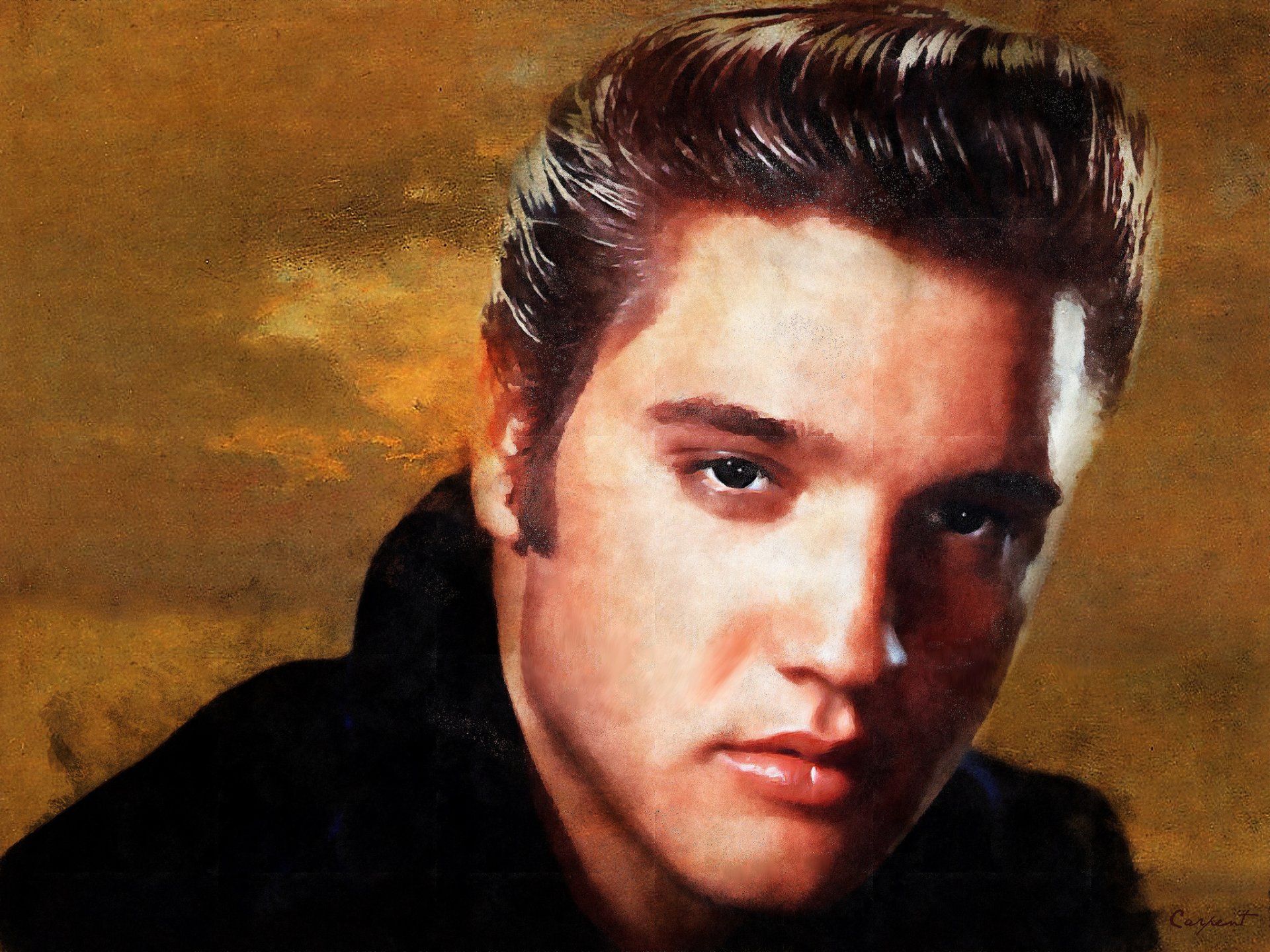 elvis presley elvis presley rock and roll musician singer look