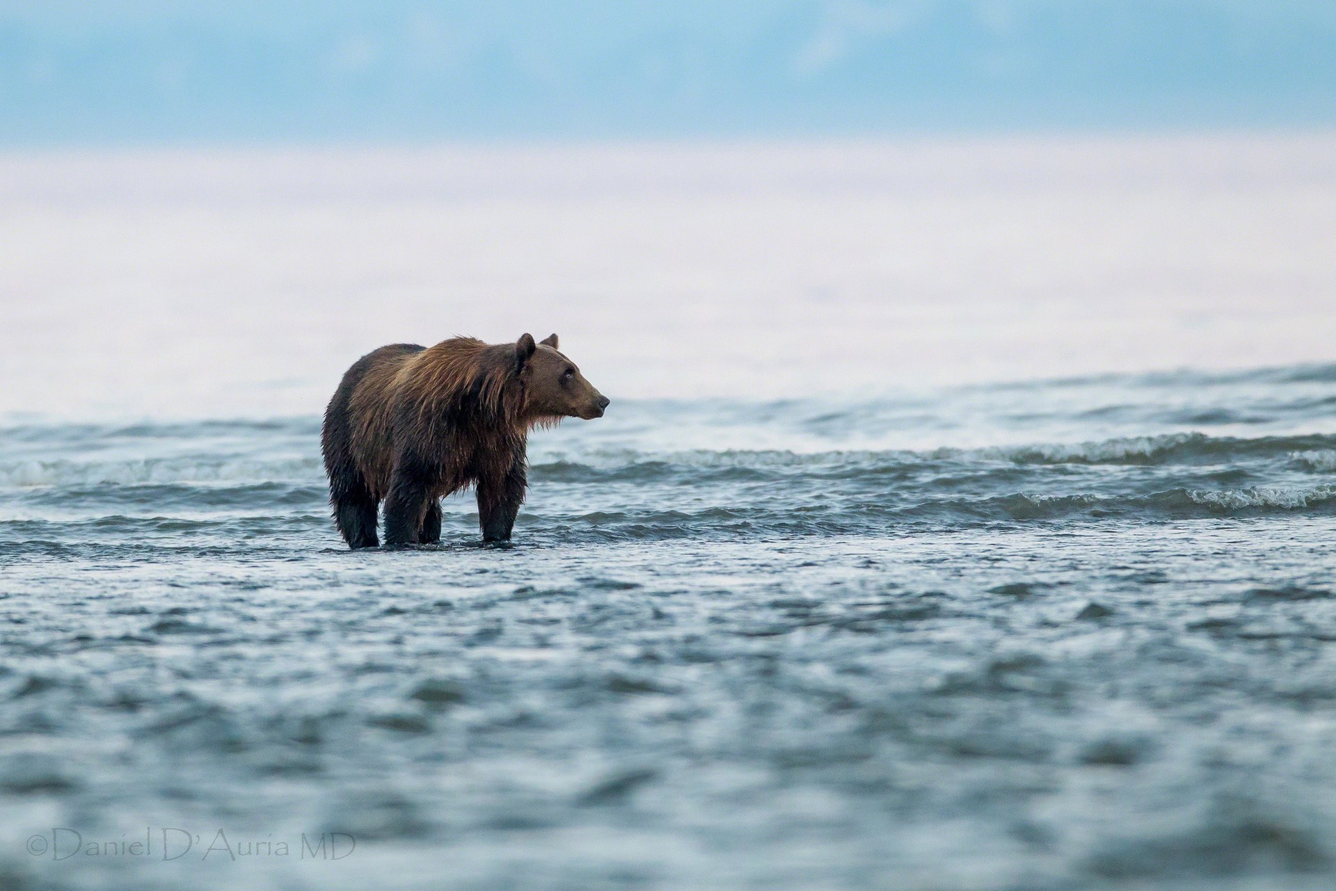 bear water lake