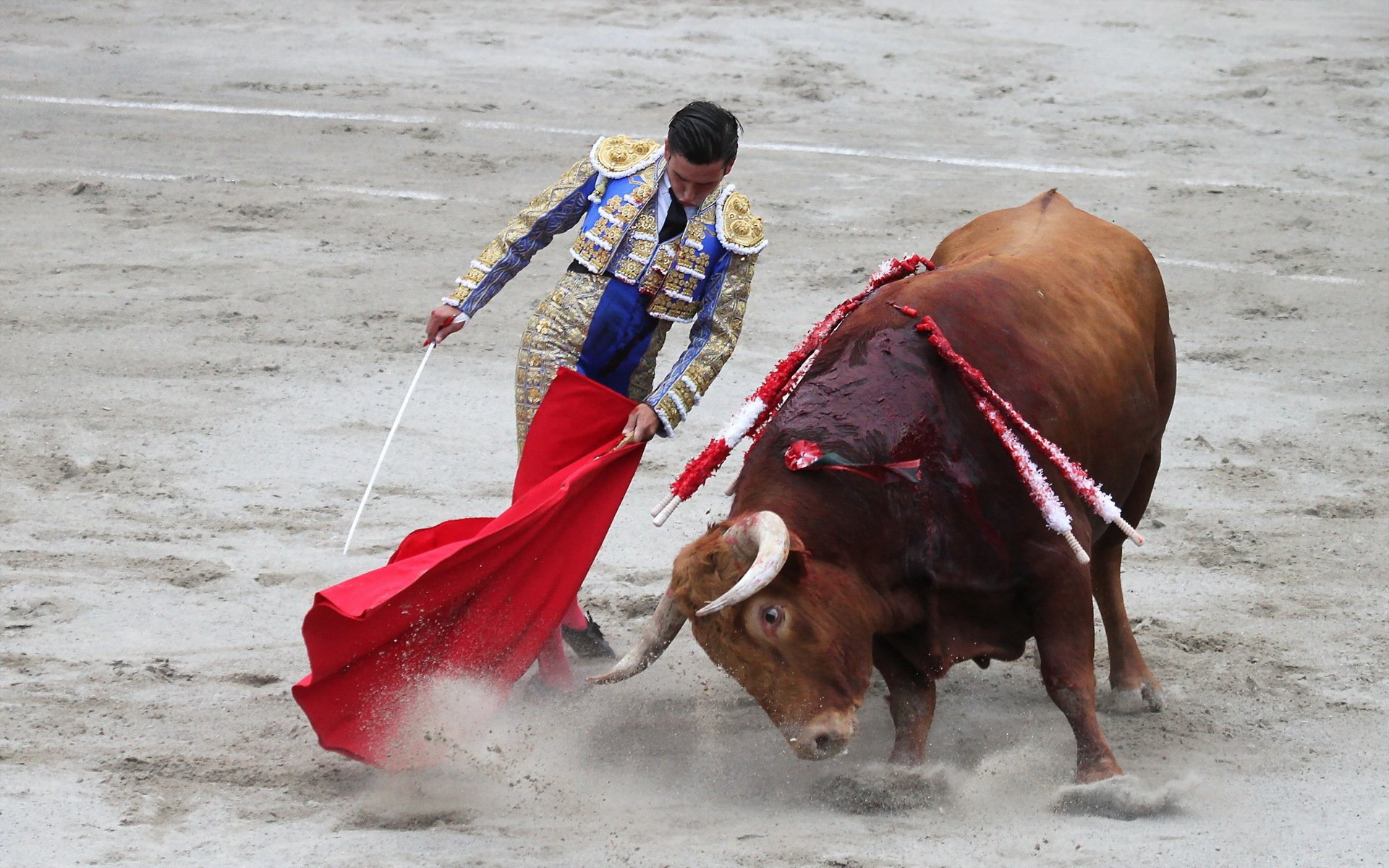 matador taureau corida