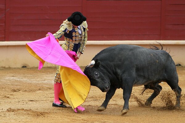 Schwarzer Stier und Matador mit rosa Lappen