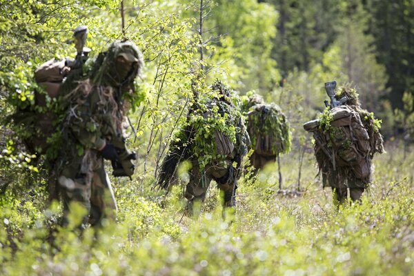 A group of soldiers, in the forest with weapons