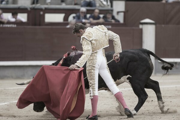 Der Matador mit dem Säbel frierte in einer anmutigen Pose vor dem Stier ein und bedeckte seine Augen mit einem roten Tuch