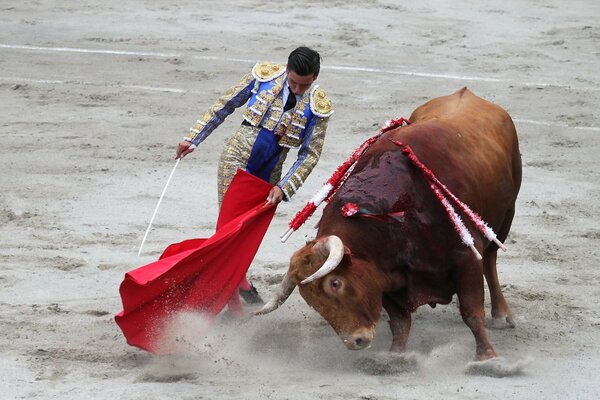 Image of koriba with a mayador and a bull