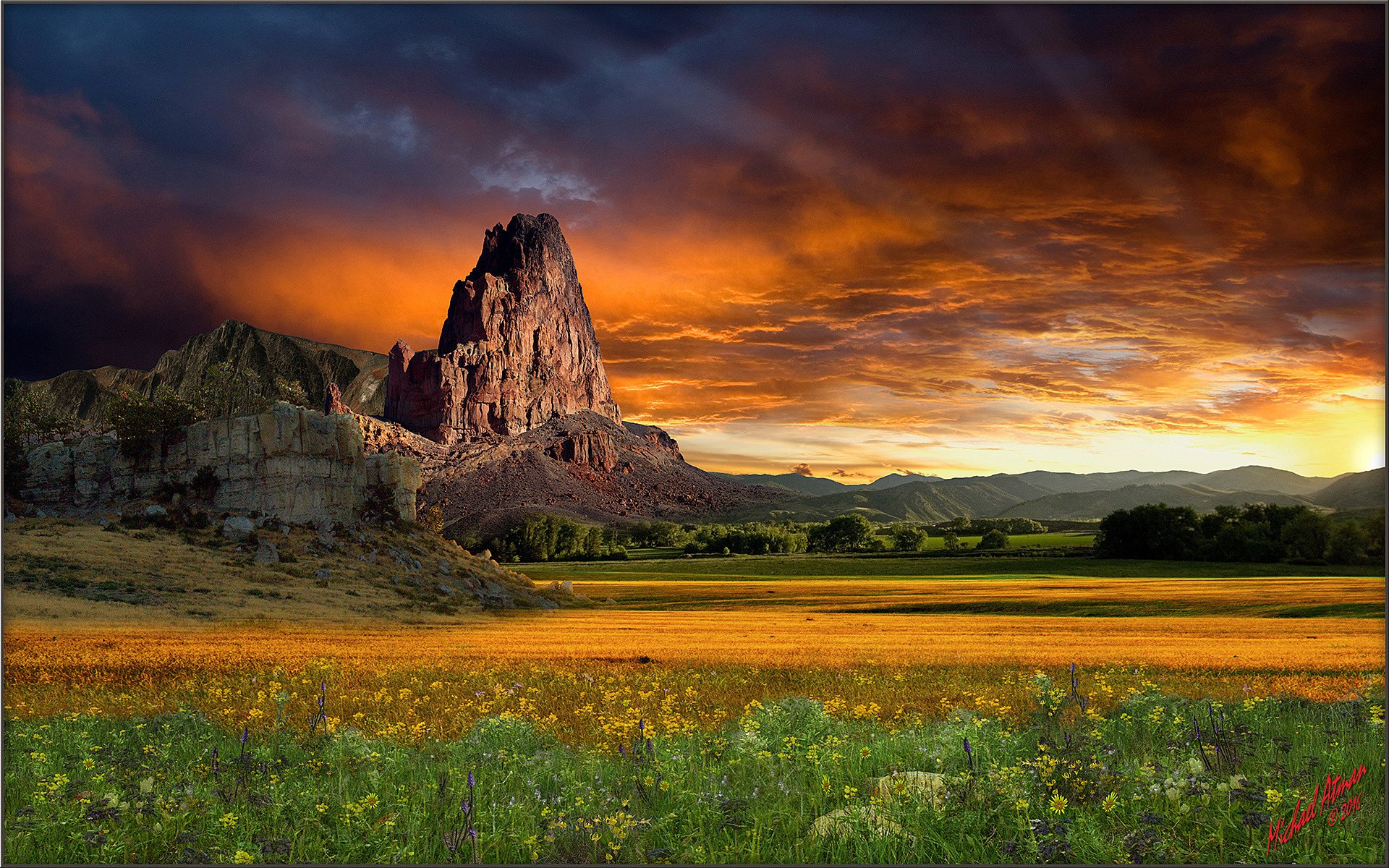 prairie nature coucher de soleil montagne usa fleurs sauvages