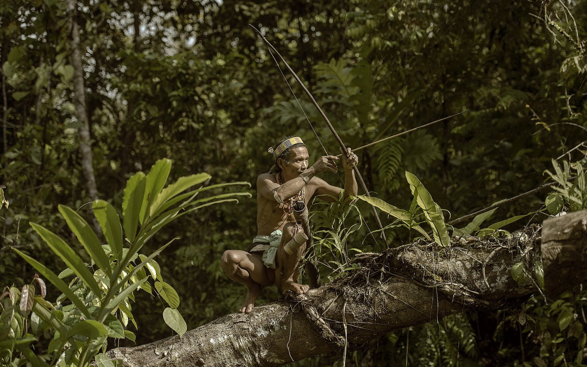 soldat arc forêt