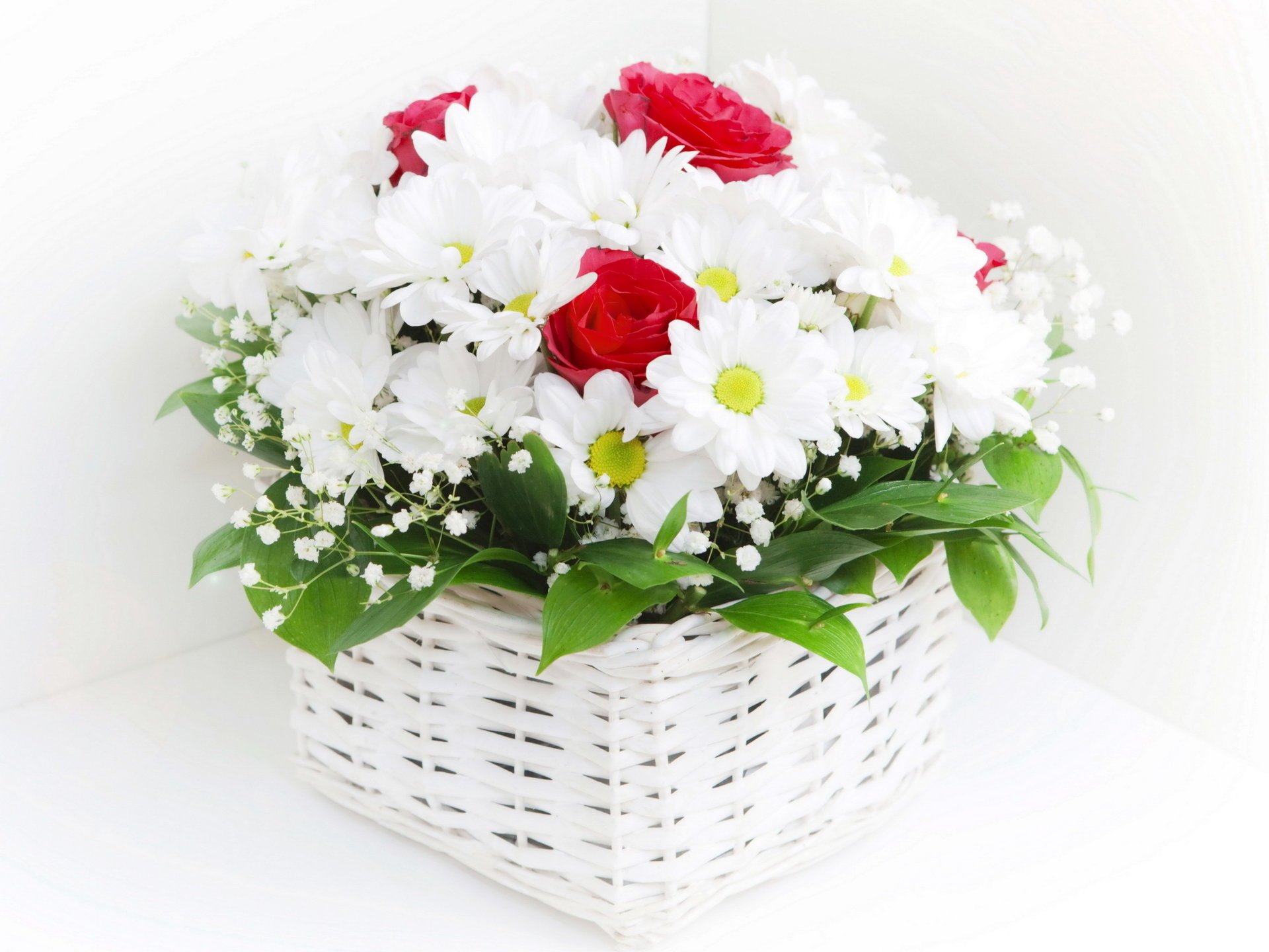 marguerites fleurs panier