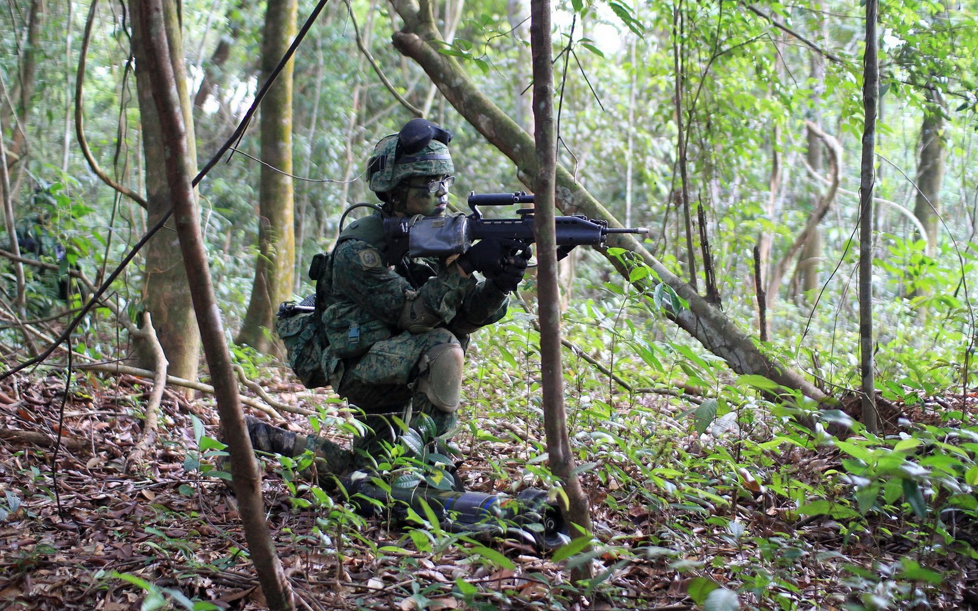 soldato armi esercito di singapore