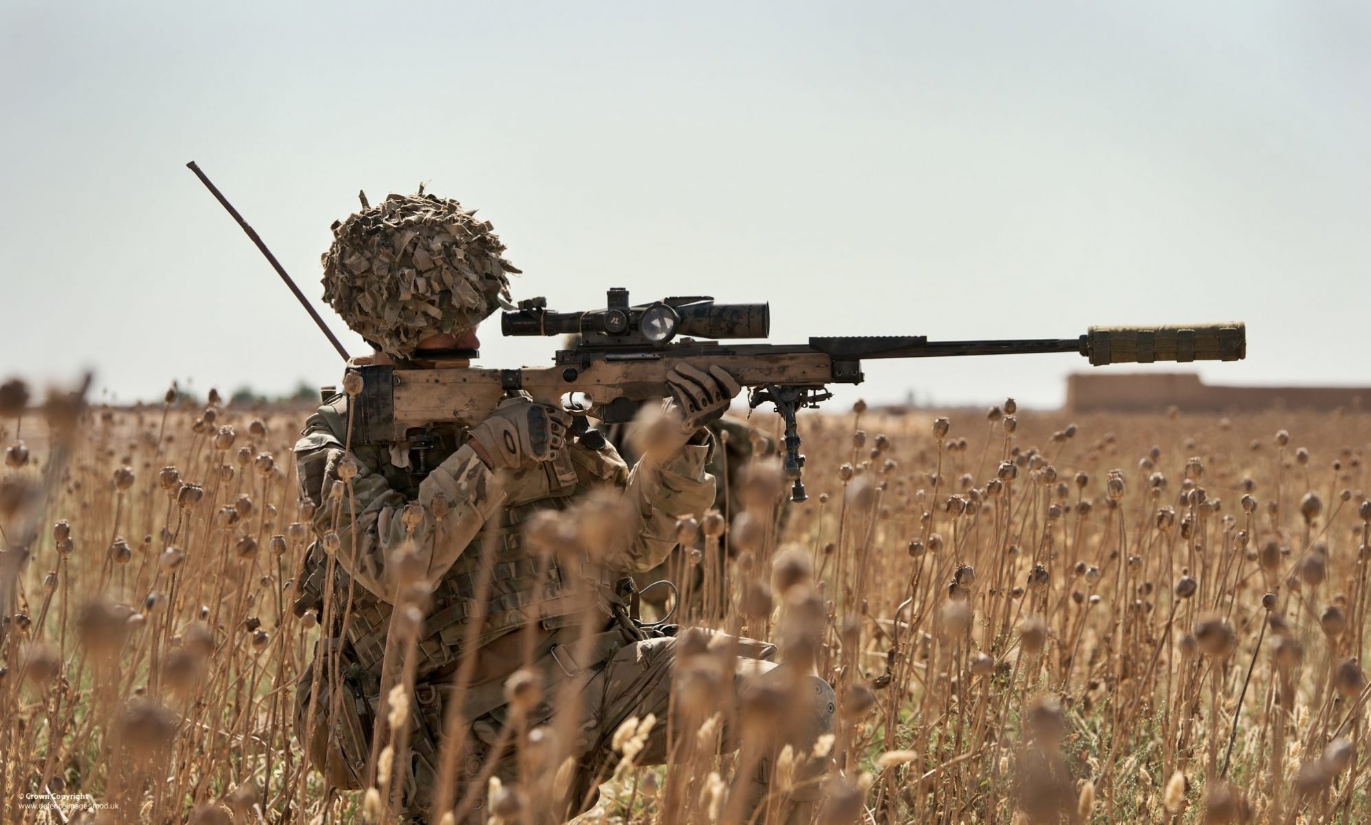 scharfschütze scharfschütze gewehr optik ausrüstung feld