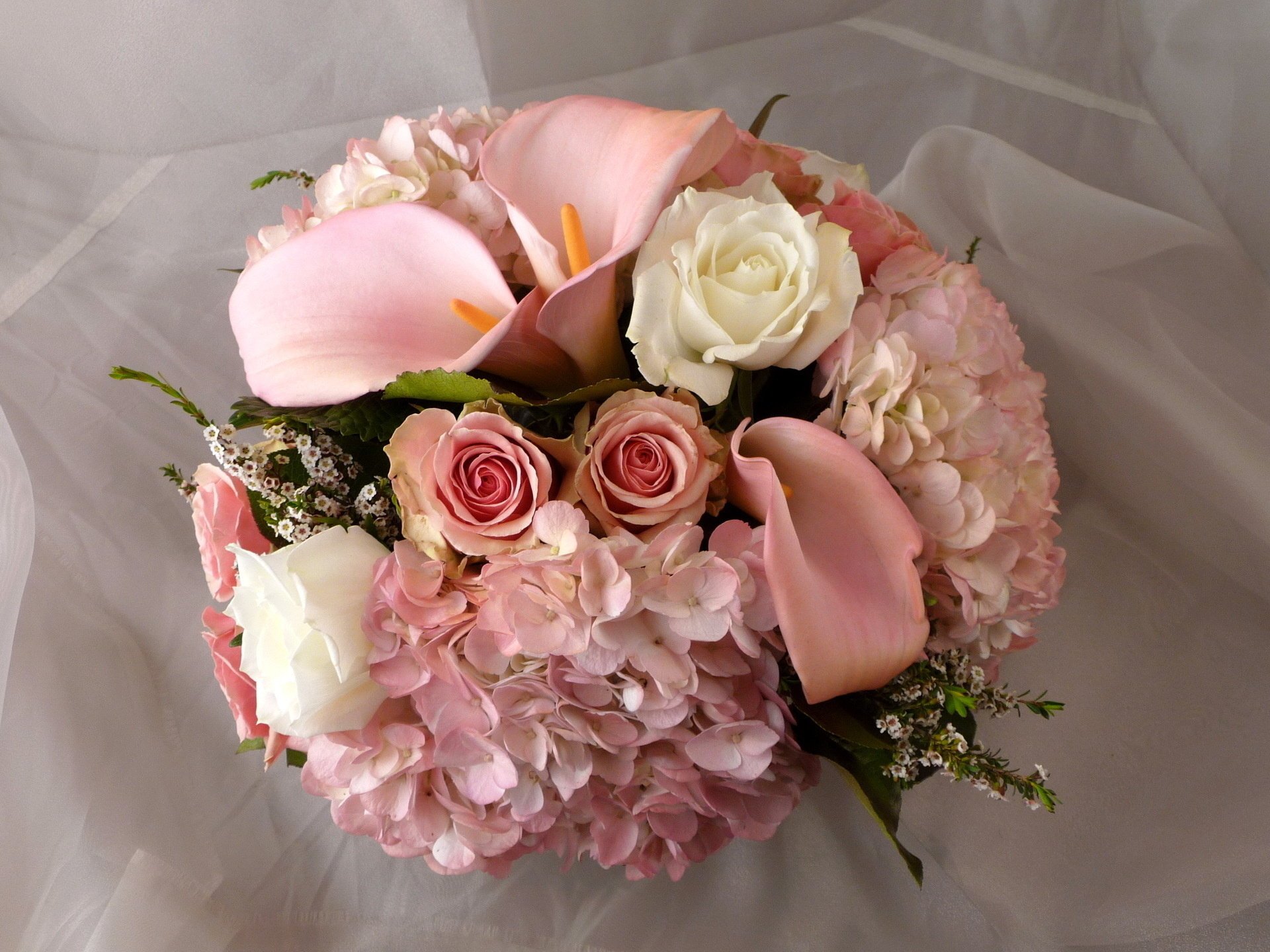 flowers roses bouquet white pink calla lilies flower