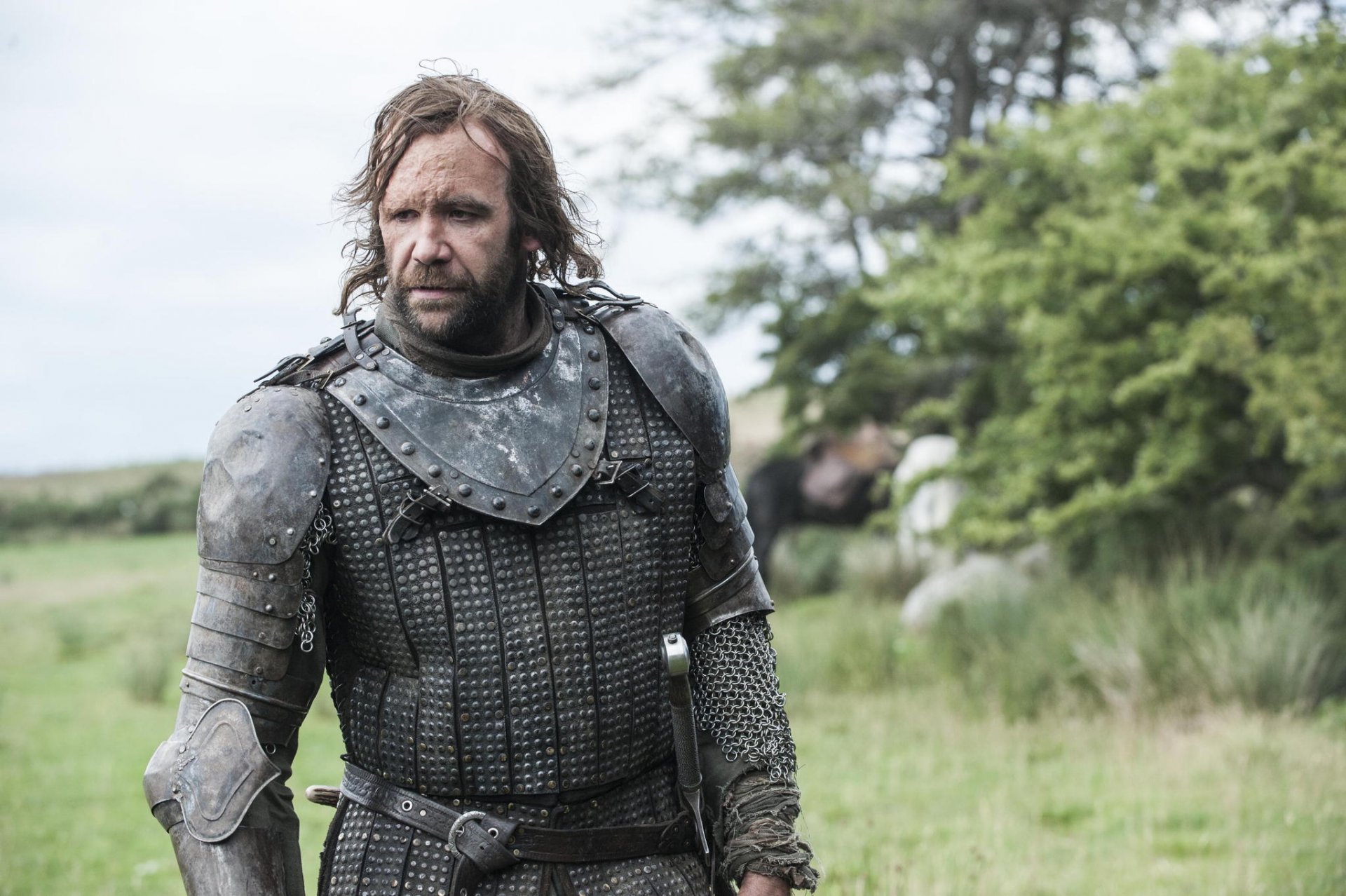 game of thrones the hound sandor clegane dog warrior armour nature