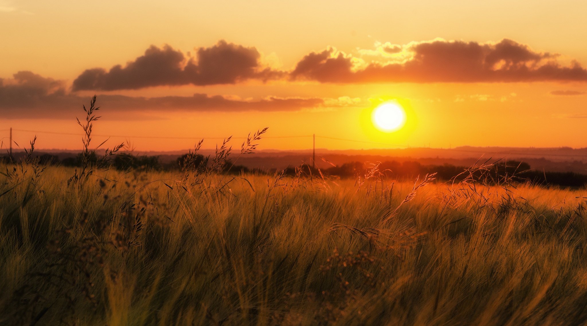 stromleitungen photographer feld gras tal horizont sonnenuntergang wolken orangefarbener himmel